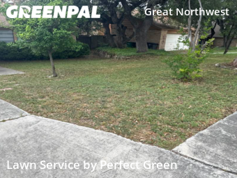 Lawn Cut nearby San Antonio, TX, 