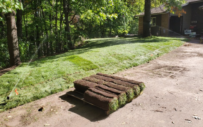 Work Image 4