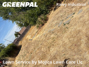 local-lawn-cutting-services-in-Sacramento-CA