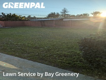 Landscaping Companies In Sunnyvale,94089,Landscaping Installation by Bay Greenery, work completed in Dec , 2025