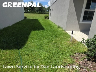 Grass Cut nearby Minneola, FL, 
