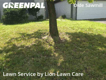 Work completed by local-landscaping-services-in-Dublin-CA