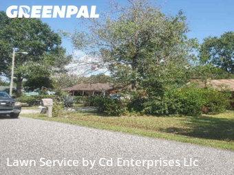 Lawn mowed in Myrtle Beach, 29575