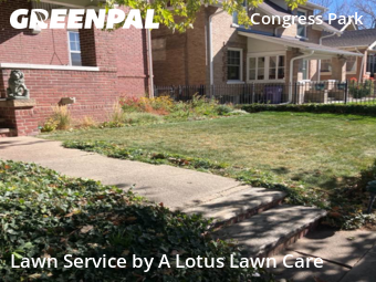 Grass Cutting nearby Denver, CO, 