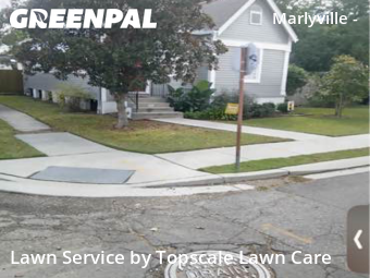 Grass Cut nearby New Orleans, LA, 