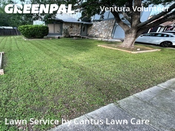Lawn Carein San Antonio,78244,Lawn Cut by Cantus Lawn Care, work completed in Jun , 2026