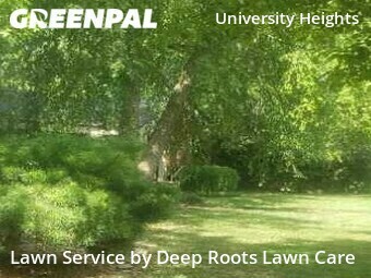 Lawn Mow nearby Springfield, MO, 