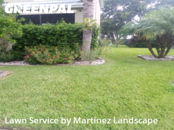 Yard Grooming in Tavares, 32778, Property Maintenance by Martinez Landscape, work completed in Nov , 2025