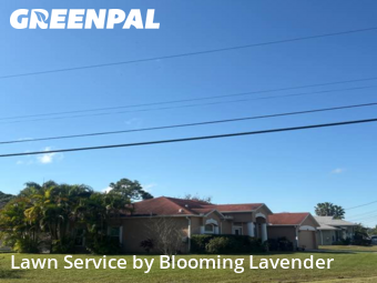 Landscaping Renovation In Port St. Lucie,34986,Landscaping by Blooming Lavender, work completed in Dec , 2025