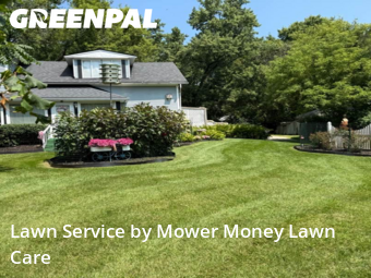 Yard Maintenance in Rochester Hills, 48307, Yard Services by Mower Money Lawn Care, work completed in Nov , 2025