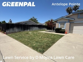Lawn Cut nearby Antelope, CA, 