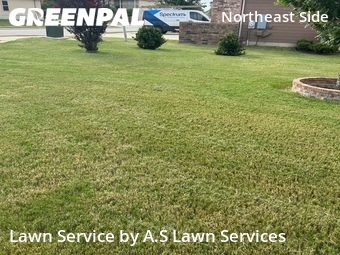 Grass Cutting nearby Schertz, TX, 