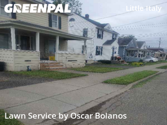 Grass Cut nearby Endicott, NY, 