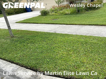 Grass Cutting nearby Wesley Chapel, FL, 