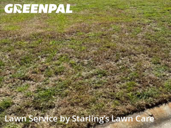 Grass Cutting nearby Orange Park, FL, 