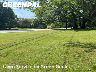 Lawn Mow nearby Bedford, OH, 