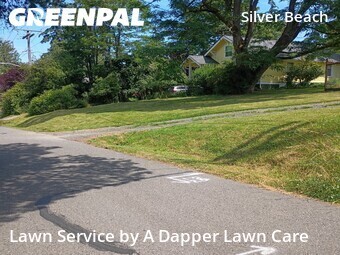 Lawn Mow nearby Bellingham, WA, 