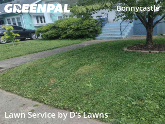 Lawn Care Service nearby Louisville, KY, 