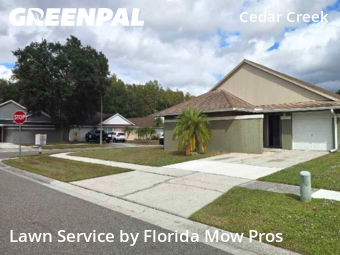Lawn Mow nearby Tampa, FL, 