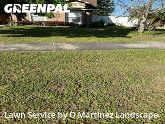 Lawn Maintenance nearby Clermont, FL, 