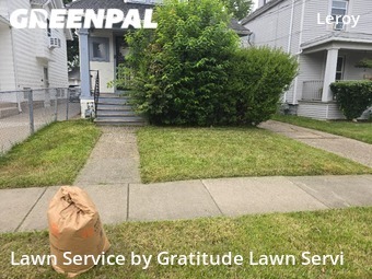 Lawn Care Service nearby Buffalo, NY, 