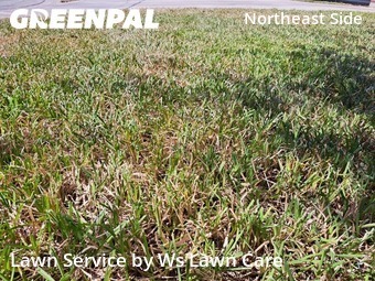 Lawn Mowing Service nearby Schertz, TX, 