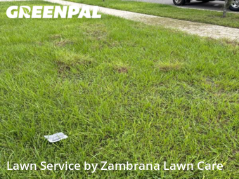 Yard Mowing nearby Haines City, FL, 