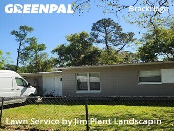 Grass Cut nearby Jacksonville, FL, 