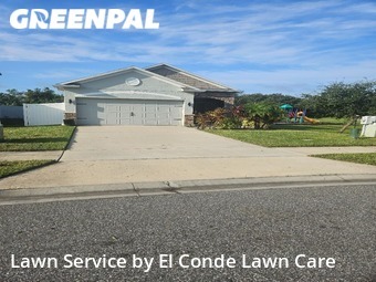 Grass Cut nearby Kissimmee, FL, 