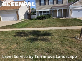 Lawn Upkeep in Schaumburg, 60194, Weekly Mowing by Terranova Landscape, work completed in Nov , 2025