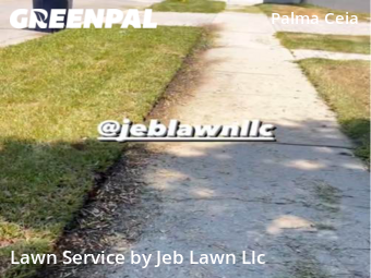 Grass Cut nearby Tampa, FL, 