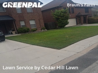 Grass Cut nearby San Antonio, TX, 