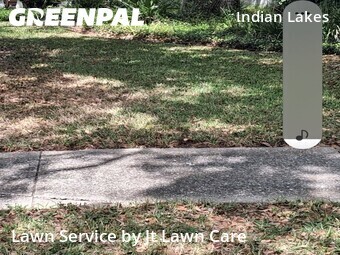 Grass Cut nearby Tampa, FL, 