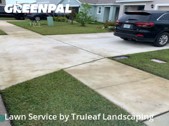 Grass Cut nearby Parrish, FL, 