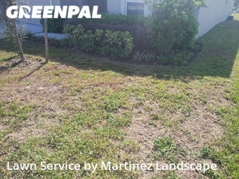 Lawn Care nearby Groveland, FL, 