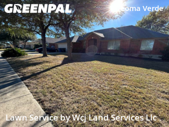 Lawn Cutin New Braunfels,78130,Lawn Mow by Wcj Land Services Llc, work completed in Dec , 2025