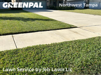 Lawn Maintenance nearby Tampa, FL, 