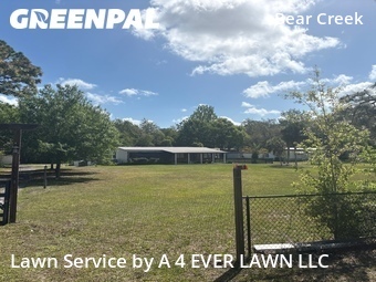 Yard Cutting nearby New Port Richey, FL, 