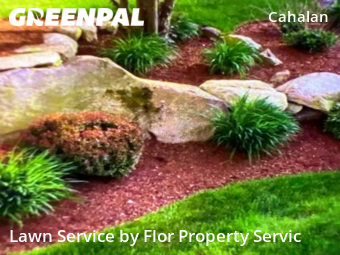 Yard Cutting nearby San Jose, CA, 