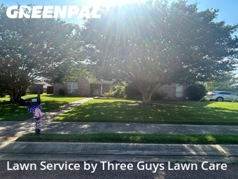 Lawn mowed in Olive Branch, 38654