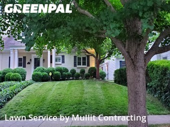 Lawn Care Service nearby Lexington, KY, 