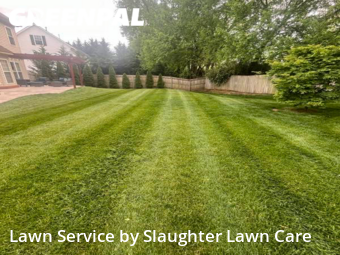 Grass Cutting nearby Knoxville, TN, 