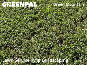 Lawn Maintenance nearby Lakewood, CO, 