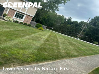 Yard Cutting nearby Carmel, IN, 