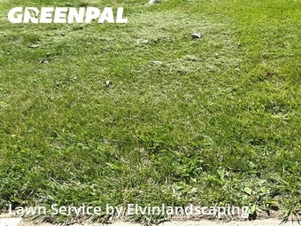 Lawn Maintenance nearby Parkville, MD, 