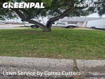 Grass Cut nearby Corpus Christi, TX, 
