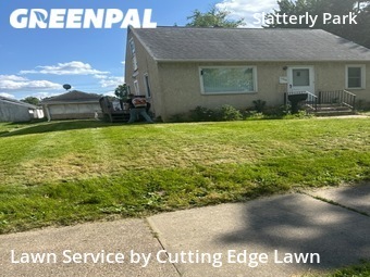 Lawn Cut nearby Rochester, MN, 
