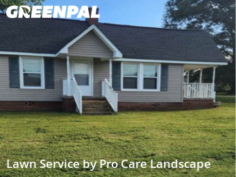 Lawn Carein Kannapolis,28081,Grass Cut by Pro Care Landscape , work completed in Jan , 2026