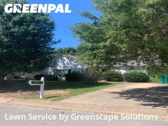 Lawn Cut nearby Jackson, TN, 