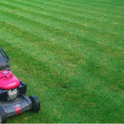 local-lawn-cutting-services-in-Charleston-SC